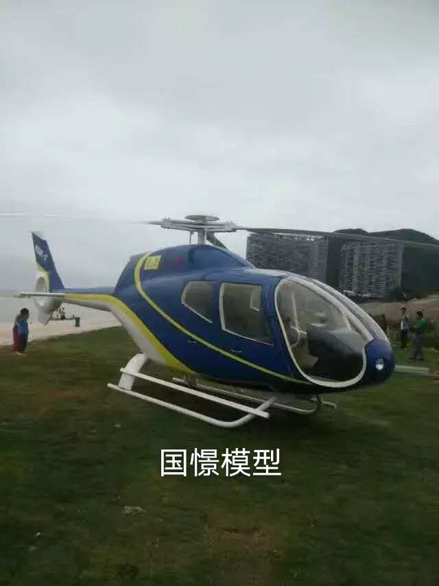 习水县飞机模型