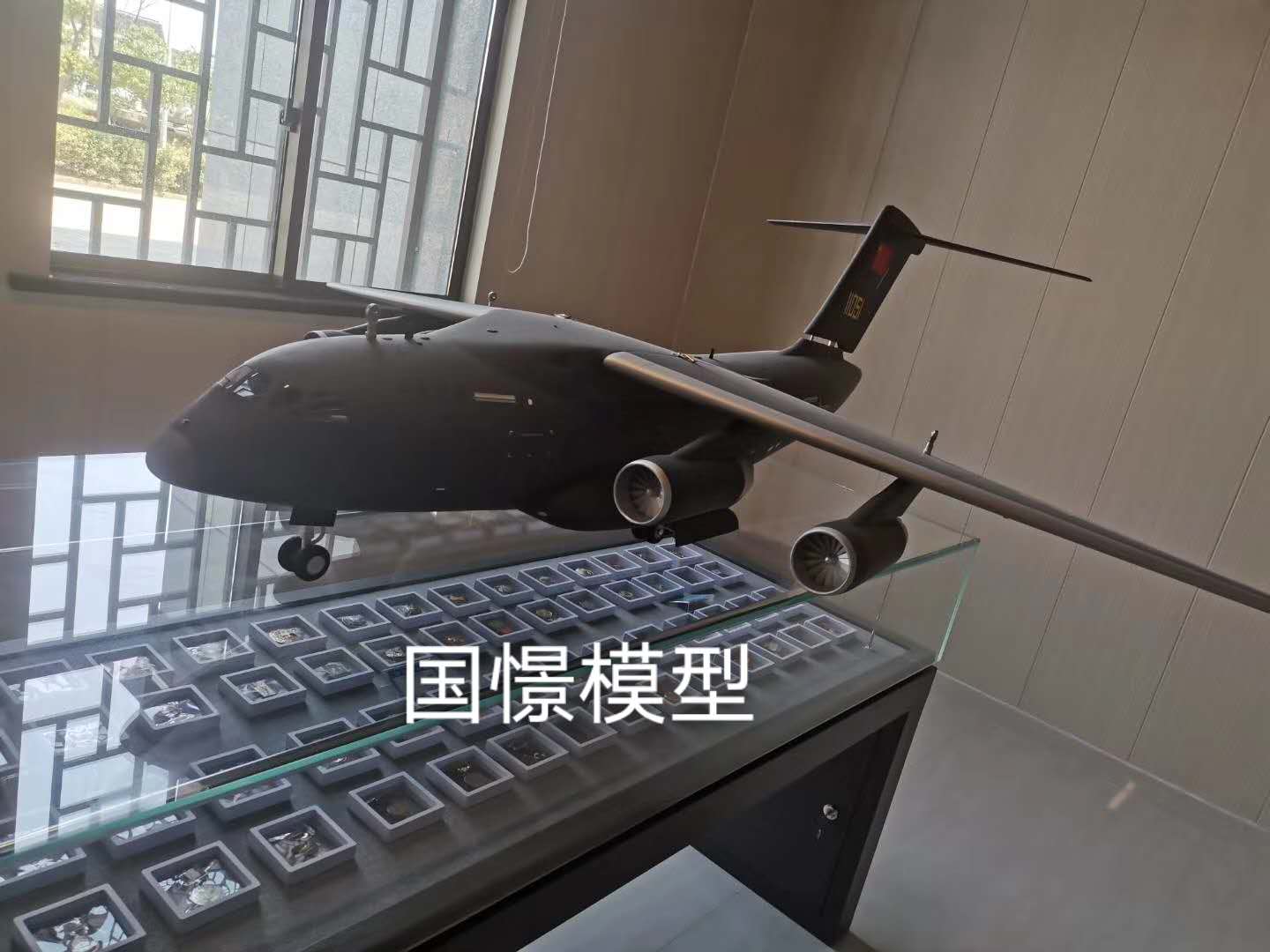 习水县飞机模型