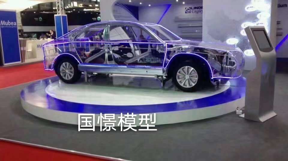 习水县透明车模型