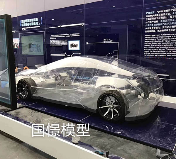 习水县透明车模型